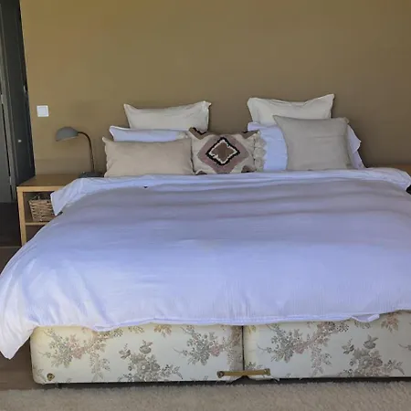 Country Stay-pets Welcome-pool-sleeps 8